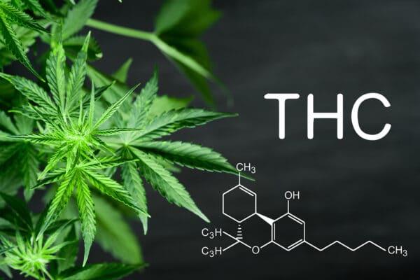 THC 101