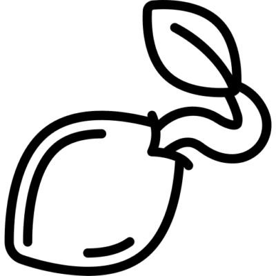 CBD seed