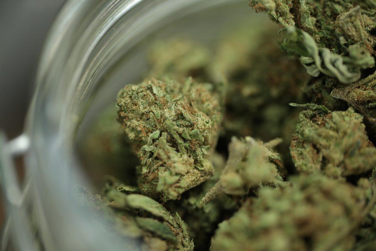 weed credit malen blackmon